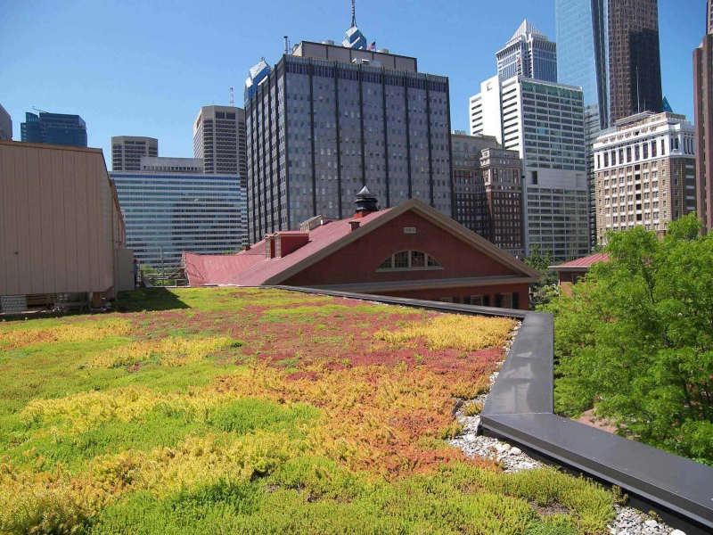 paysagiste-CHATEAUNEUF GRASSE-min_green-roof-portfolio-4